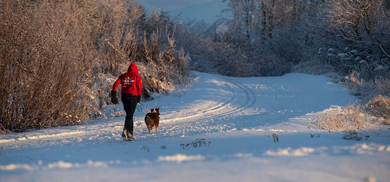 跑步新手如何在寒冬建立跑步习惯？看看阿拉斯加的朋友怎么做！